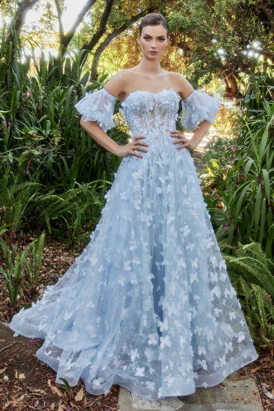 Organza Gown- Sky Blue